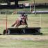 MTPC Horse Trials